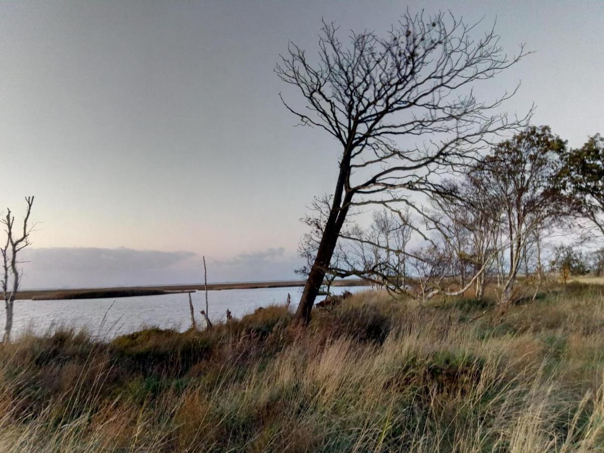 Haus Reihernest Sehestedt  Buitenkant foto