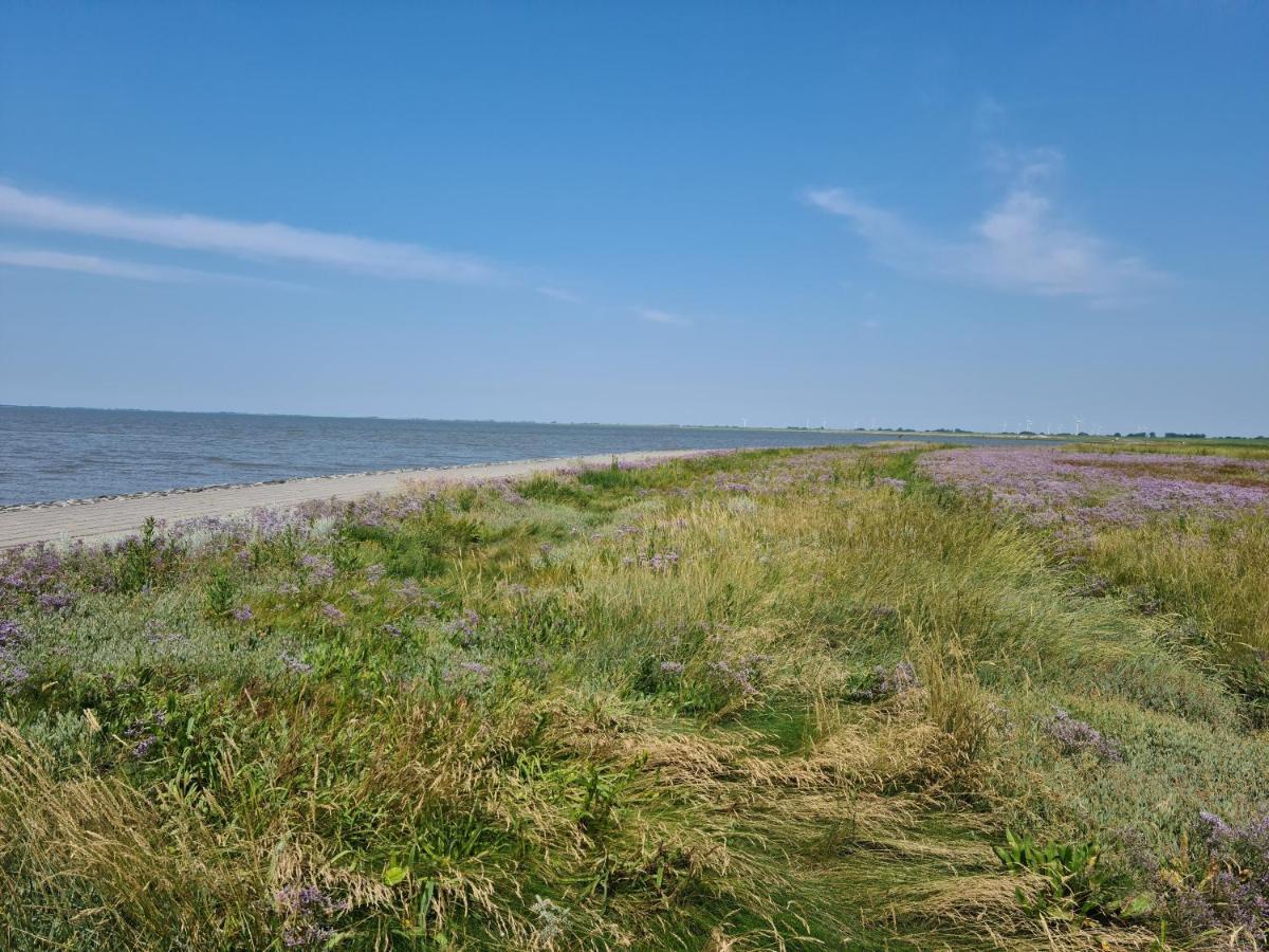 Haus Reihernest Sehestedt  Buitenkant foto